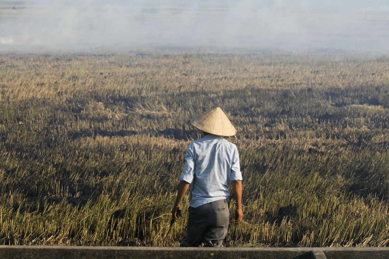 Growing Skills Alongside Crops: How Syngenta and Andamio Empower Farmers with Advanced Tech Skills
